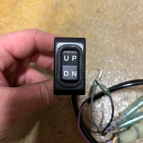 Suzuki troll control switch