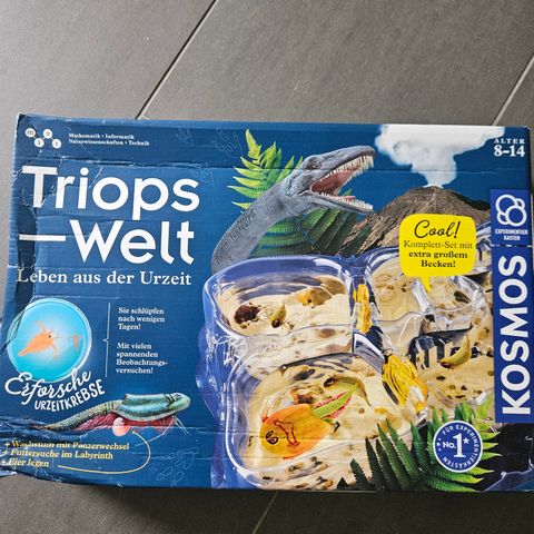 Triops Welt Kosmos