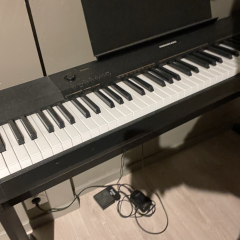 Casio CDP-130 digitalt piano med stativ