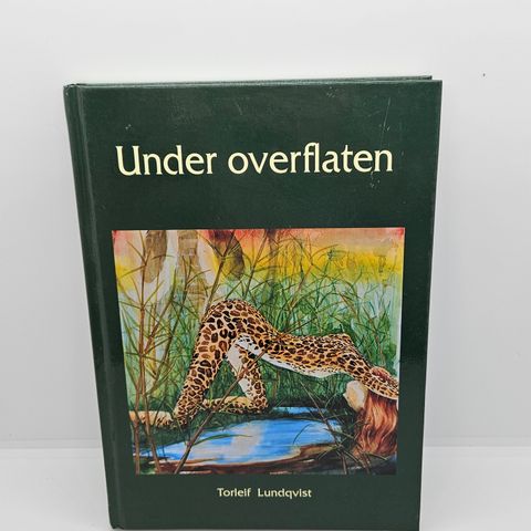 Under overflaten   - Torleif Lundqvist