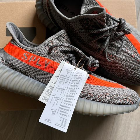 YEEZY BELUGA RF 42 2/3