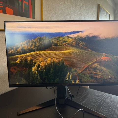 ASUS 28" 4K gamingskjerm VG28UQL1A