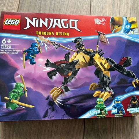 Lego Ninjago Dragons rising