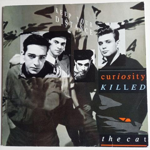 CURIOSITY  KILLED  THE  CAT / Lp