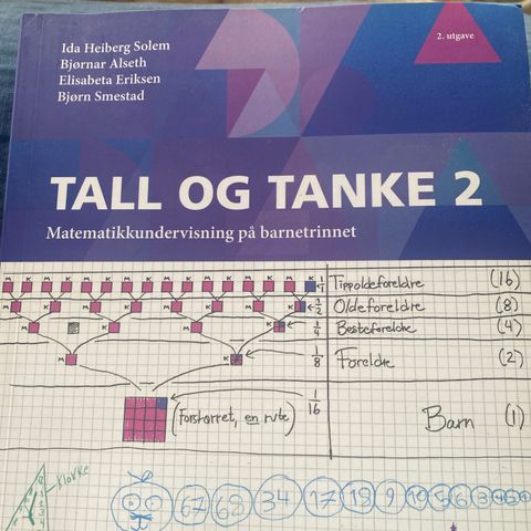 Tall og tanke 2. matematikkundervisning på barnetrinnet