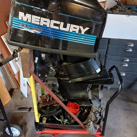 Mercury 55