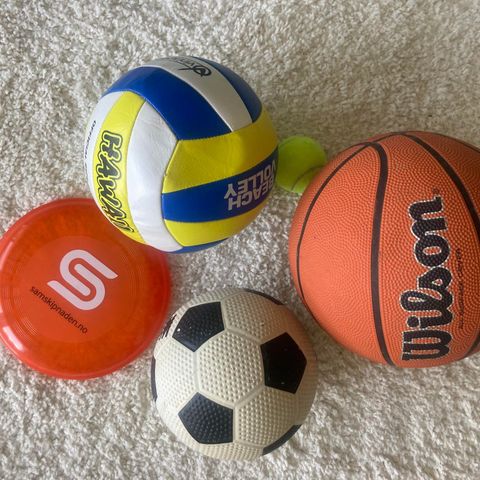 Ballsport