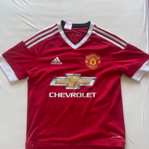 Memphis Depay Manchester United drakt 2015/16