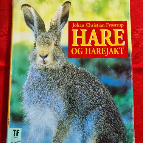 HARE og HAREJAKT