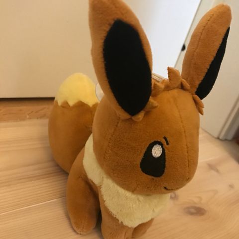 Evee pokemon kosebamse