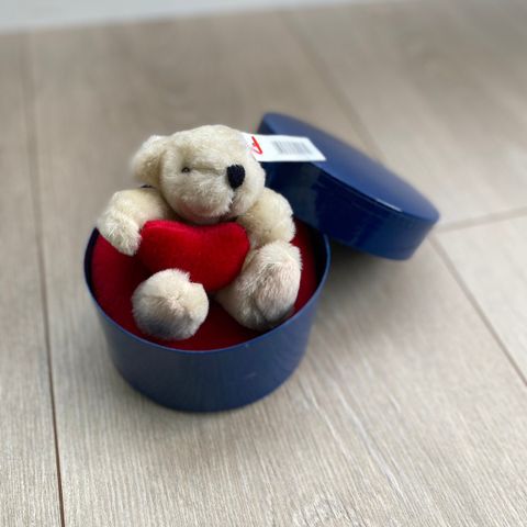 Liten bamse i boks