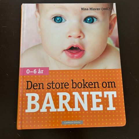 Boken om barnet