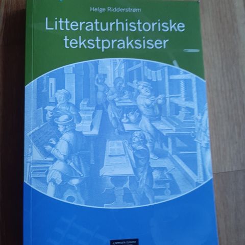 Litteraturhistoriske tekstpraksiser av Helge Ridderstrøm