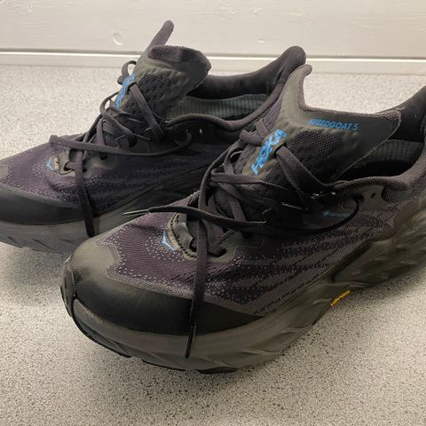 Lite brukte Hoka Speedgoat 5 GTX i str 43 1/3