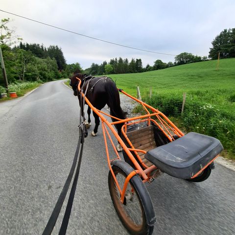 Travutstyr/roadcart