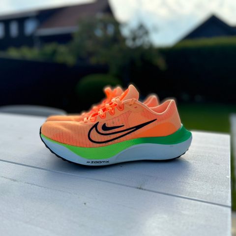 Nike Zoom Fly 5 Dame