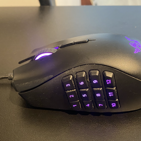 Razer Naga Trinity