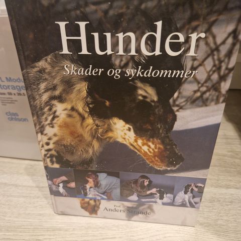 Hunder