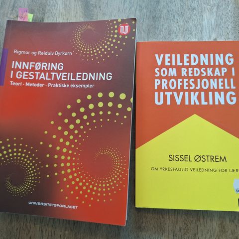 To pent brukt bøker fra veiledning studie- Østrem og Dyrkorn