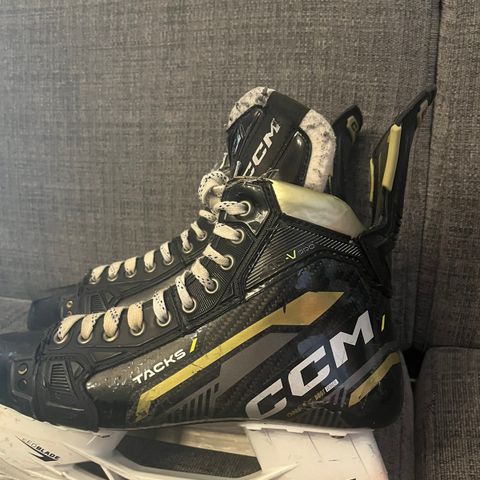 CCM ASV-PRO