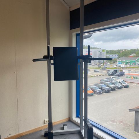 Power tower til dips chins og mage fra Technogym