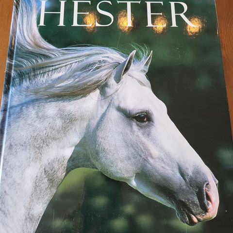 Bok om hester