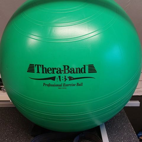 Gym ball/ exercise ball  str.L/ 65 cm