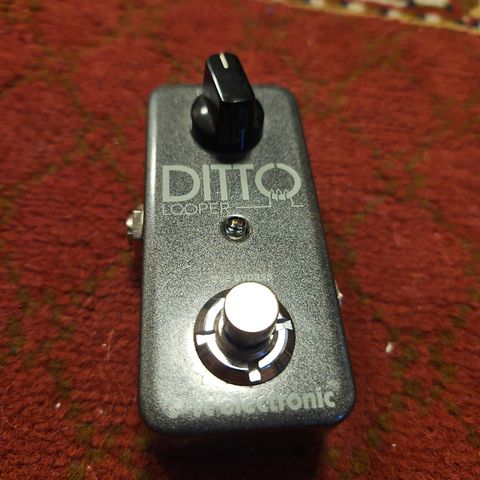 Ditto looper