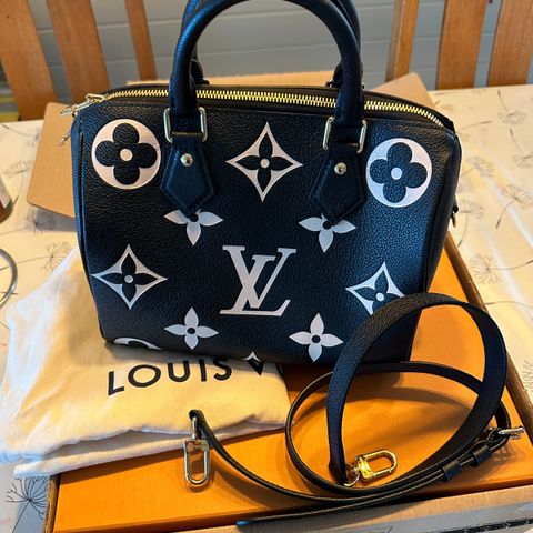Louis Vuitton  speedy 25  Empreinte leather