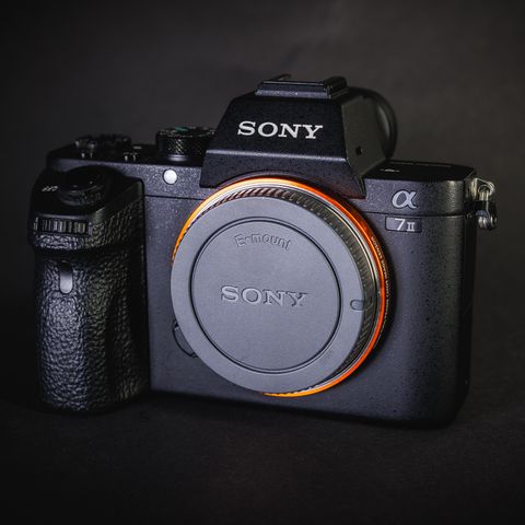 Sony a7 II - lav shuttercount!