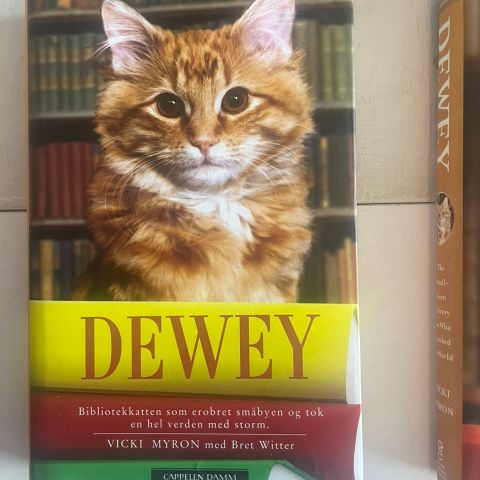 Bøker for katteelskere – som nye