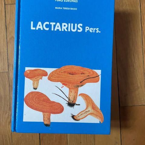 "Fungi Europaei - Lactarius pers." av Maria Teresa Basso