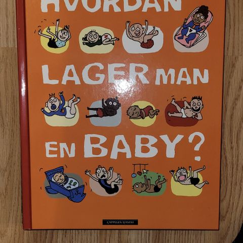 Anna fiske "hvordan lager man en baby"