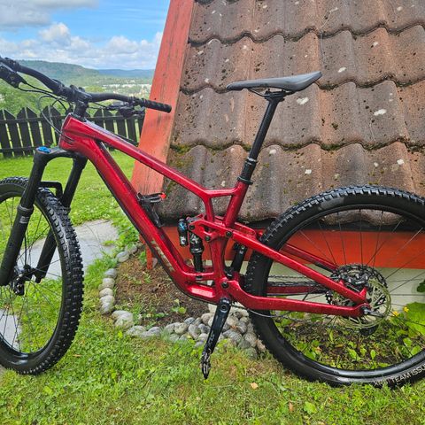 Trek fuel ex 9.7 str L