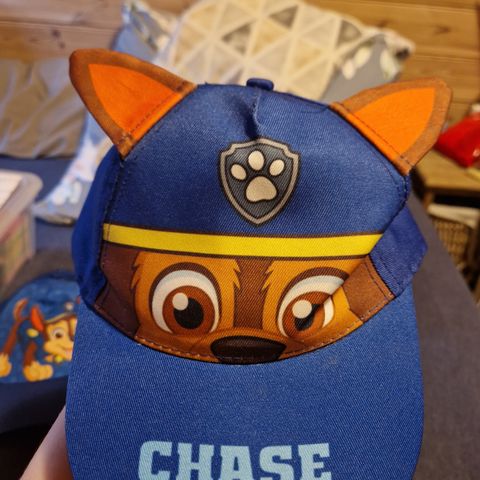 Paw patrol