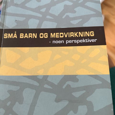 Små barn og medvirkning. Johannesen/Sandvik.