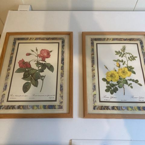 Blomsterbilder 30x40