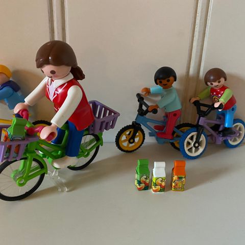 Div. PLAYMOBIL (66)