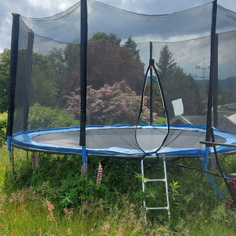 Trampoline