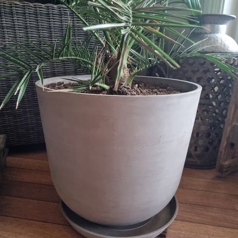 Ecopots Oslo