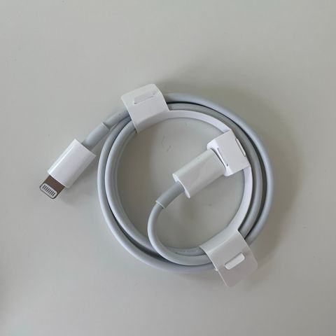 Apple USB-C to Lightning cable