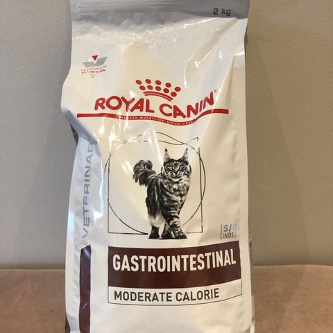 Royal Canin Gastrointestinal tørrmat for katt