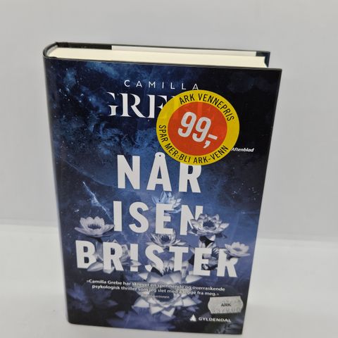 Når isen brister  - Camilla Grebe