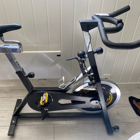 Nordic Exercise Bike