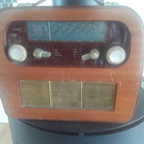 Kungs radio