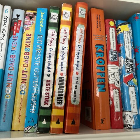 Barnebøker, ungdomsbøker, gutta i trehuset, pingles dagbok og flere