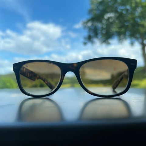 Ray Ban New Wayfarer solbriller