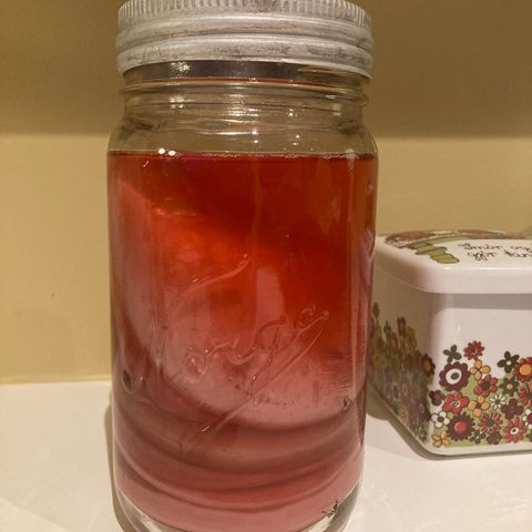 Kombucha scoby