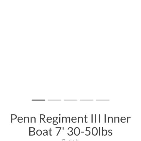 Penn Regiment III Inner 30-
50lbs
