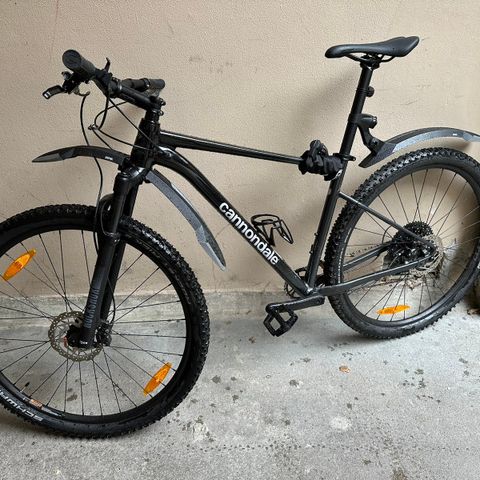 Cannondale Trail SL 3 LG